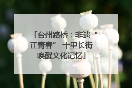台州路桥：非遗“正青春” 十里长街唤醒文化记忆