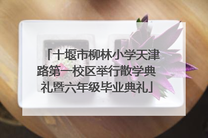 十堰市柳林小学天津路第一校区举行散学典礼暨六年级毕业典礼