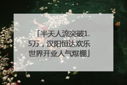 半天人流突破1.5万，汉阳恒达欢乐世界开业人气爆棚
