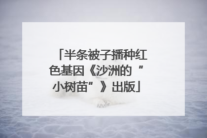 半条被子播种红色基因《沙洲的“小树苗”》出版