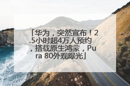 华为，突然宣布！2.5小时超4万人预约，搭载原生鸿蒙，Pura 80外观曝光
