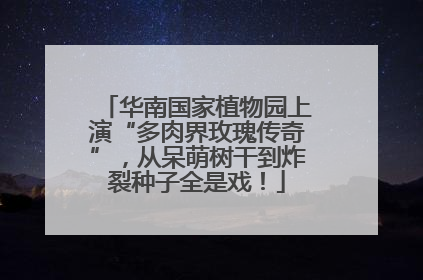 华南国家植物园上演“多肉界玫瑰传奇”，从呆萌树干到炸裂种子全是戏！