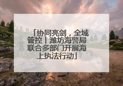 协同亮剑，全域管控丨潍坊海警局联合多部门开展海上执法行动