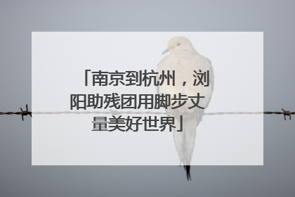 南京到杭州，浏阳助残团用脚步丈量美好世界
