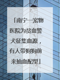 南宁一宠物医院为贫血警犬征集血源，有人带狗狗前来抽血配型