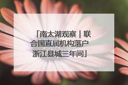 南太湖观察｜联合国直属机构落户浙江县城三年间