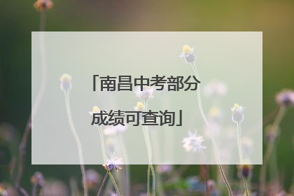 南昌中考部分成绩可查询