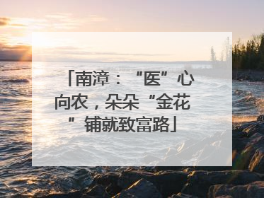南漳：“医”心向农，朵朵“金花”铺就致富路