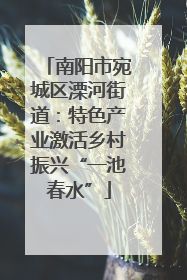 南阳市宛城区溧河街道：特色产业激活乡村振兴“一池春水”