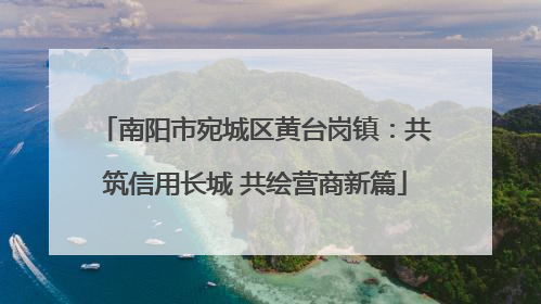 南阳市宛城区黄台岗镇：共筑信用长城 共绘营商新篇