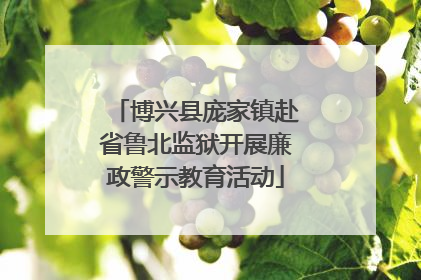 博兴县庞家镇赴省鲁北监狱开展廉政警示教育活动