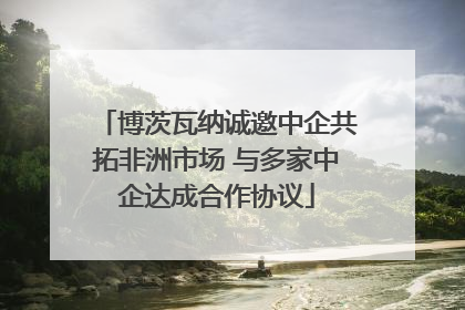 博茨瓦纳诚邀中企共拓非洲市场 与多家中企达成合作协议
