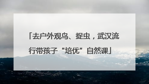 去户外观鸟、捉虫，武汉流行带孩子“培优”自然课