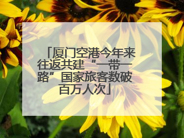 厦门空港今年来往返共建“一带一路”国家旅客数破百万人次