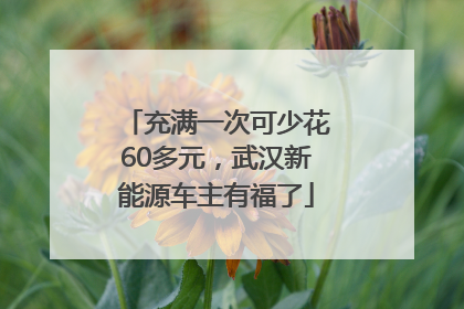 充满一次可少花60多元，武汉新能源车主有福了
