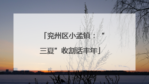 兖州区小孟镇：“三夏”收割话丰年