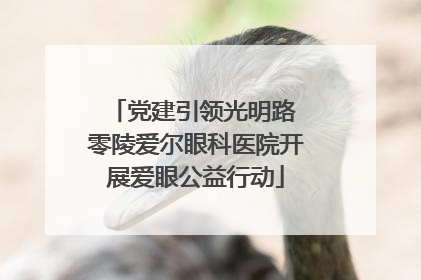 党建引领光明路 零陵爱尔眼科医院开展爱眼公益行动