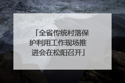 全省传统村落保护利用工作现场推进会在松阳召开