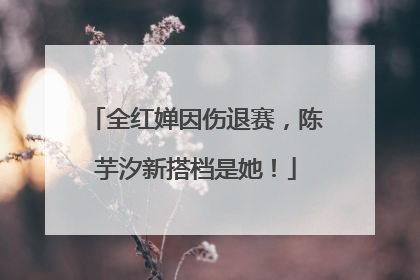 全红婵因伤退赛，陈芋汐新搭档是她！