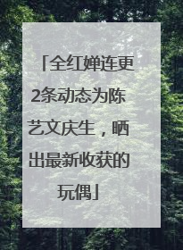 全红婵连更2条动态为陈艺文庆生，晒出最新收获的玩偶