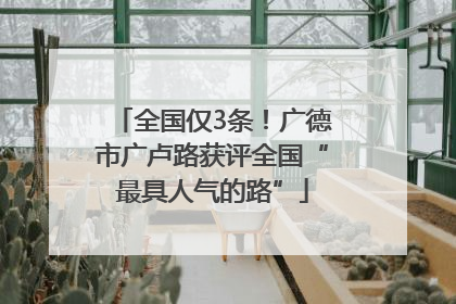 全国仅3条！广德市广卢路获评全国“最具人气的路”