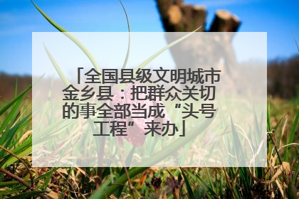 全国县级文明城市金乡县：把群众关切的事全部当成“头号工程”来办
