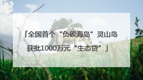 全国首个“负碳海岛”灵山岛获批1000万元“生态贷”