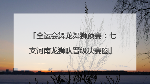 全运会舞龙舞狮预赛：七支河南龙狮队晋级决赛圈