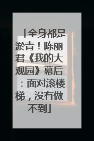 全身都是淤青！陈丽君《我的大观园》幕后：面对滚楼梯，没有做不到