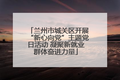 兰州市城关区开展“新心向党”主题党日活动 凝聚新就业群体奋进力量