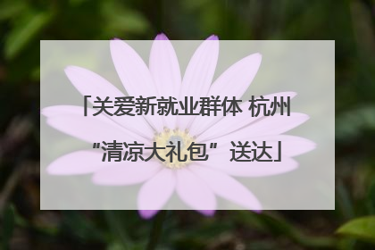 关爱新就业群体 杭州“清凉大礼包”送达