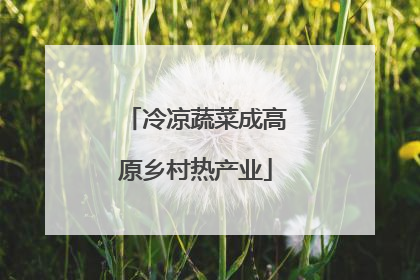 冷凉蔬菜成高原乡村热产业