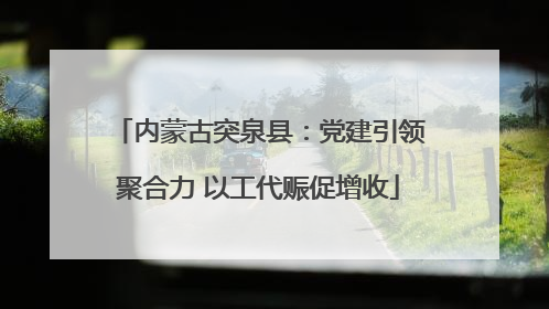 内蒙古突泉县：党建引领聚合力 以工代赈促增收