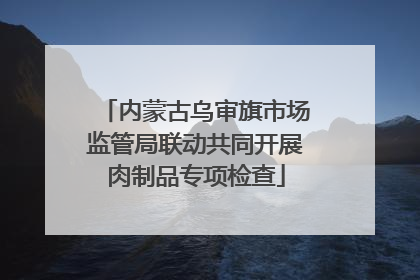 内蒙古乌审旗市场监管局联动共同开展肉制品专项检查