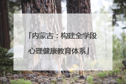 内蒙古：构建全学段心理健康教育体系