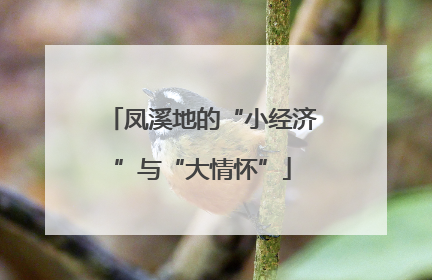 凤溪地的“小经济”与“大情怀”