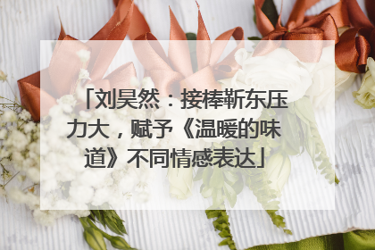 刘昊然：接棒靳东压力大，赋予《温暖的味道》不同情感表达