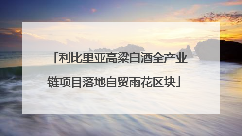 利比里亚高粱白酒全产业链项目落地自贸雨花区块