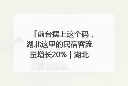 前台摆上这个码，湖北这里的民宿客流量增长20%｜湖北市场监管所的故事