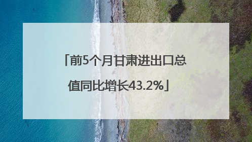 前5个月甘肃进出口总值同比增长43.2%