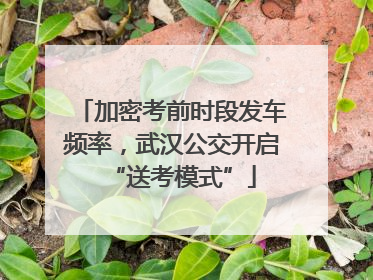 加密考前时段发车频率，武汉公交开启“送考模式”