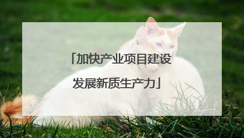 加快产业项目建设 发展新质生产力