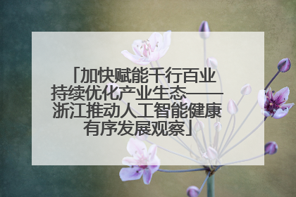 加快赋能千行百业 持续优化产业生态——浙江推动人工智能健康有序发展观察