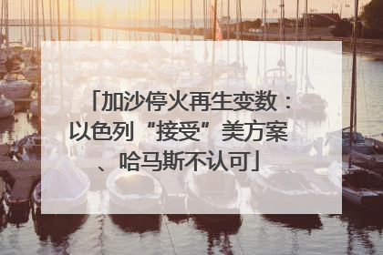 加沙停火再生变数：以色列“接受”美方案、哈马斯不认可