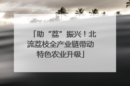 助“荔”振兴！北流荔枝全产业链带动特色农业升级