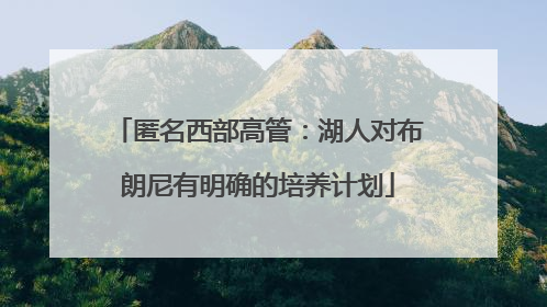 匿名西部高管：湖人对布朗尼有明确的培养计划