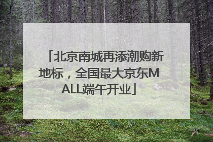北京南城再添潮购新地标，全国最大京东MALL端午开业