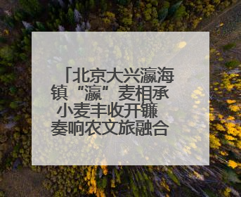 北京大兴瀛海镇“瀛”麦相承小麦丰收开镰 奏响农文旅融合新乐章