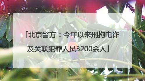 北京警方:今年以来刑拘电诈及关联犯罪人员3200余人