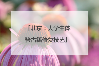 北京：大学生体验古籍修复技艺